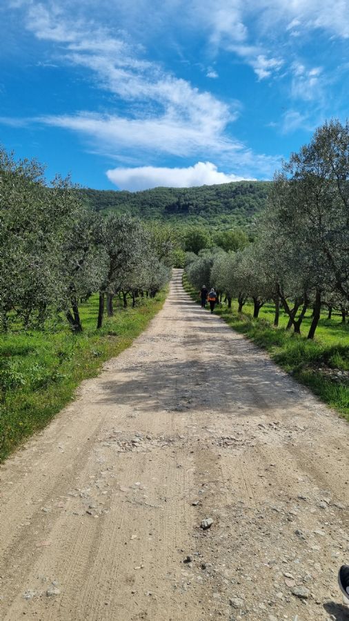 greve in chianti